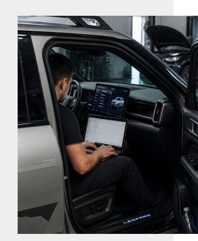Русификация BYD Leopard 3 в Ирбите по цене от 21876 р. | ФастМобиль-Рбт